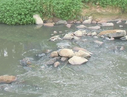 景觀水體、湖泊等生態(tài)修復方案